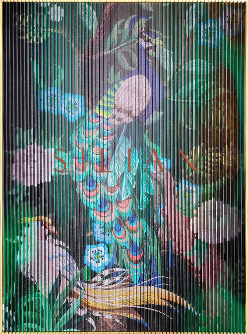 Abstract and Peacock